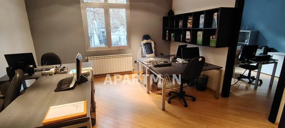 Rent, office space, 100m², Botanička Bašta, Palilula Sve Podlokacije