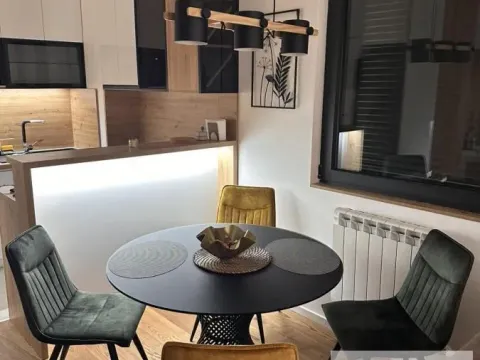 Prodaja, dvosoban stan, 52m², Višnjička Banja, Palilula Sve Podlokacije - image 7