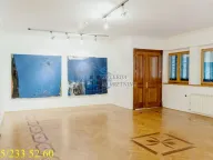 Prodaja, kuća, 430m², Stari Grad, Beograd - image 6