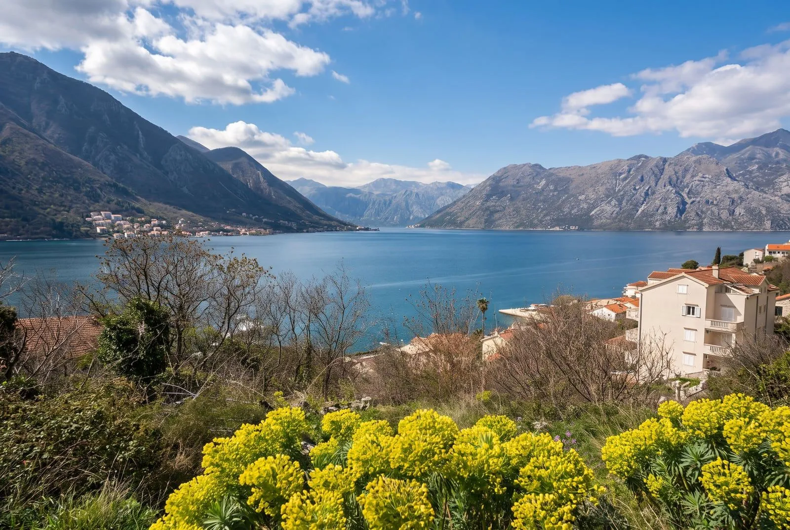 Prodaja, plac, 2733m², Dobrota, Kotor