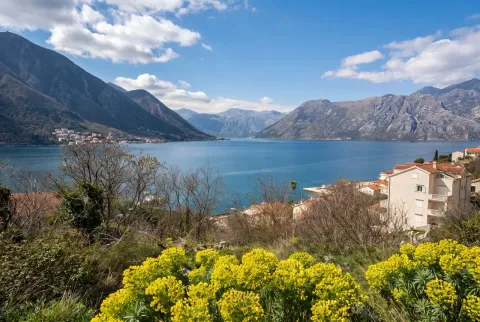 Prodaja, plac, 2733m², Dobrota, Kotor - image 4