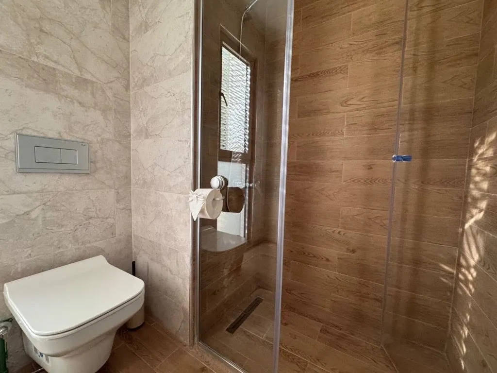 Modernly equipped bathroom with a walk-in shower and toilet.