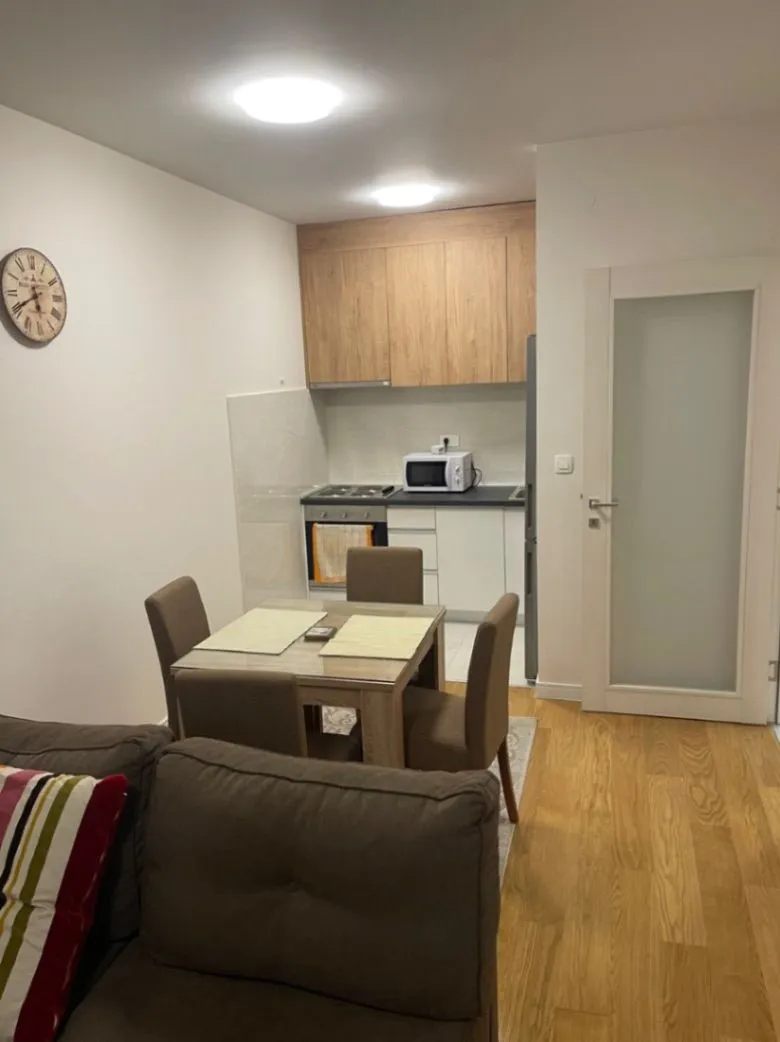 Rent, one bedroom apartment, 47m², Central Point, Podgorica