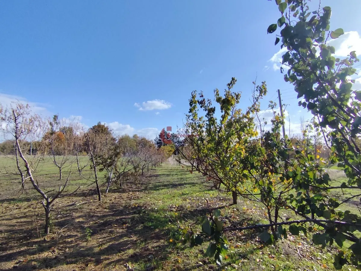 Prodaja, kuća, 120m², Bački Vinogradi, Subotica