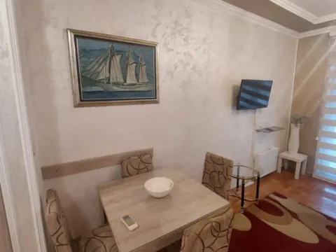 Izdavanje, jednosoban stan, 45m², Stari Aerodrom, Podgorica - image 8