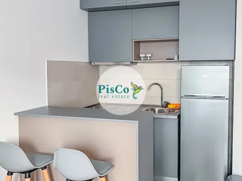 Izdavanje, stan, 30m², Ljubović, Podgorica - image 6