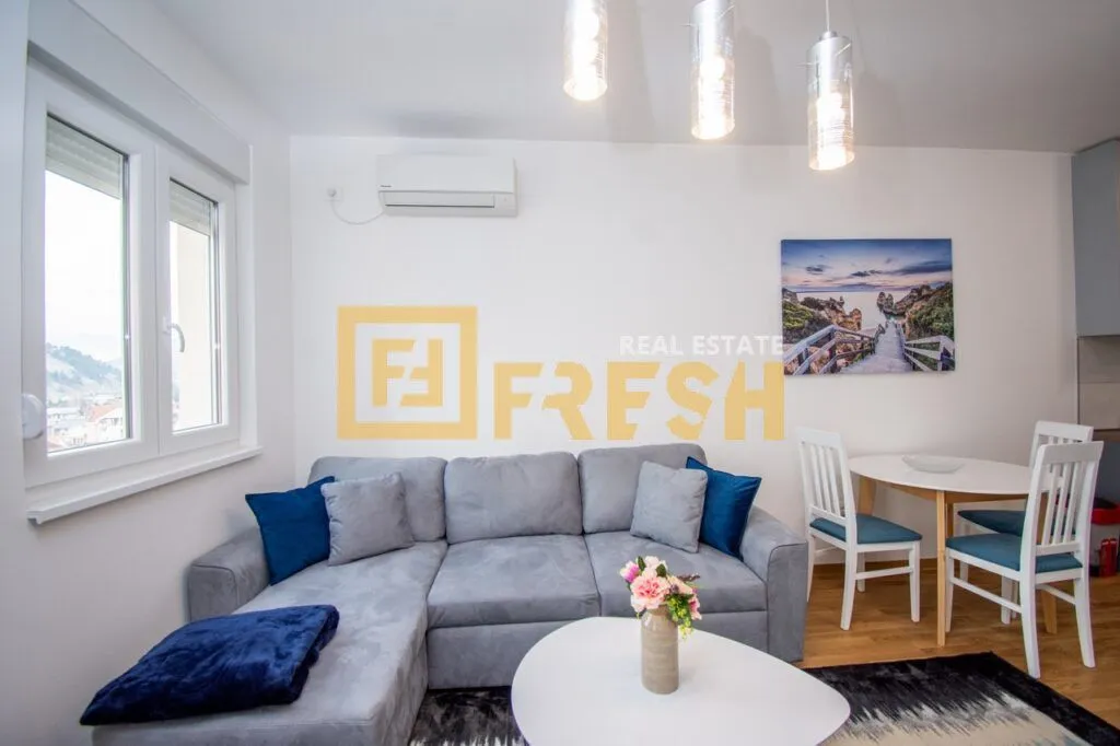 Rent, one bedroom apartment, 46m², Zagorič, Podgorica