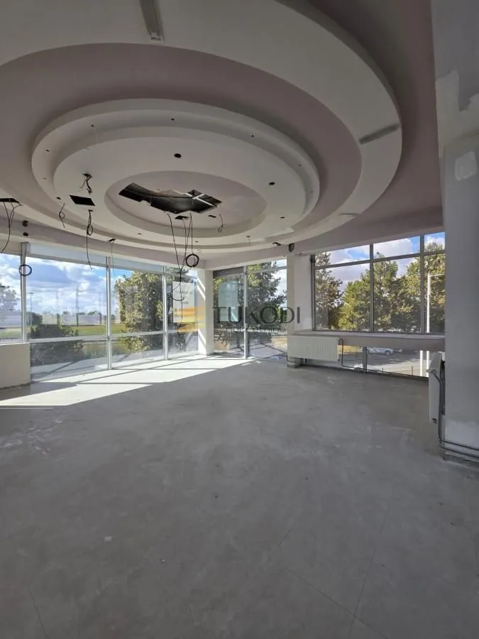 Rent, office space, 4597m², Šangaj, Novi Sad Sve Podlokacije