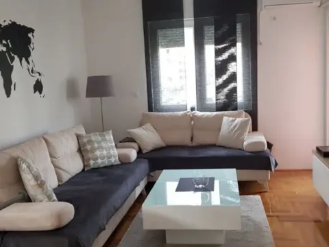 Izdavanje, jednosoban stan, 50m², Stari Aerodrom, Podgorica - image 10