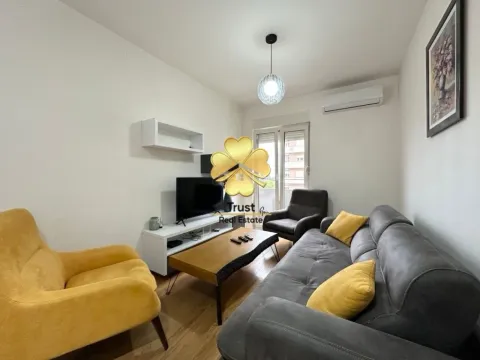 Izdavanje, jednosoban stan, 41m², Central Point, Podgorica - image 2