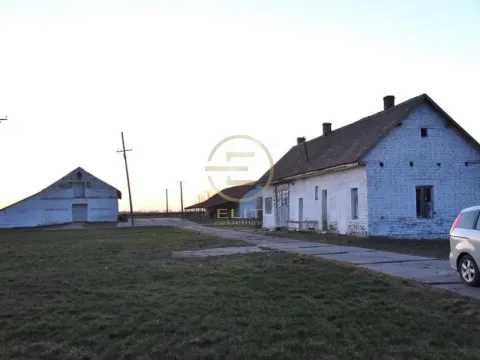 Prodaja, plac, 980m², Vrbas, Novi Sad - image 3