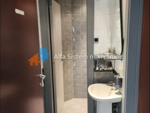 Izdavanje, poslovni prostor, 300m², Bezanijska Kosa 1, Bežanijska Kosa Sve Podlokacije - image 7