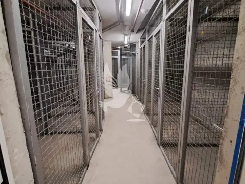 Izdavanje, trosoban stan, 74m², Stari Grad, Beograd - image 5