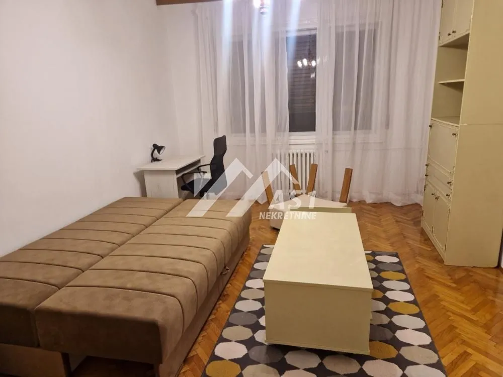 Living room with a sofa bed, desk, and shelving units.