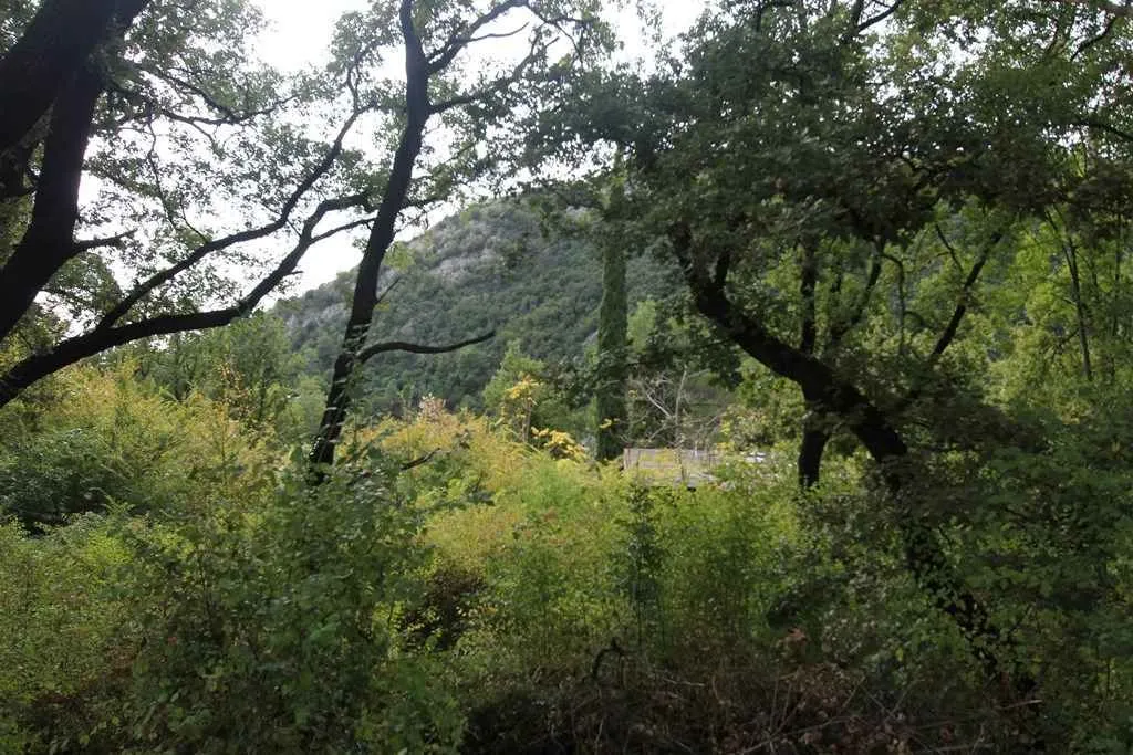 Zeleni plac okružen drvećem i brdom u pozadini.