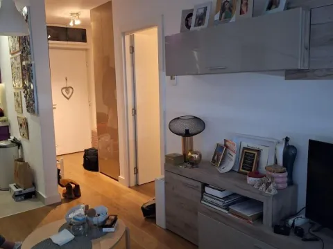 Stan in Južni Bulevar