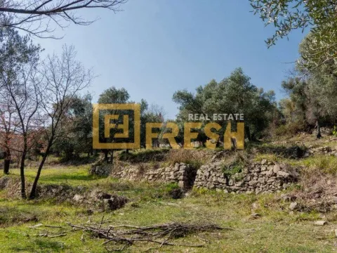 Prodaja, plac, 7125m², Herceg Novi, Crna Gora - image 2