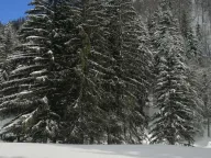 Prodaja, plac, 3476m², Kolašin, Crna Gora - image 1