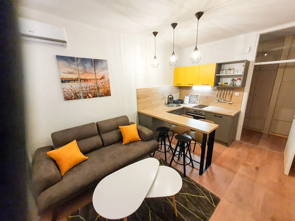 Izdavanje, jednosoban stan, 45m², Preko Morače, Podgorica