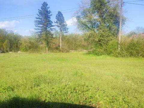 Sale, land lot, 5000m², Ćurilac, Danilovgrad - image 2