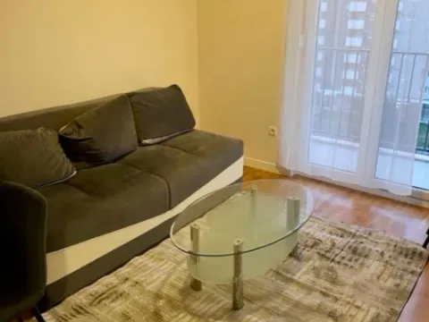 Izdavanje, jednosoban stan, 40m², Pobrežje, Podgorica - image 7