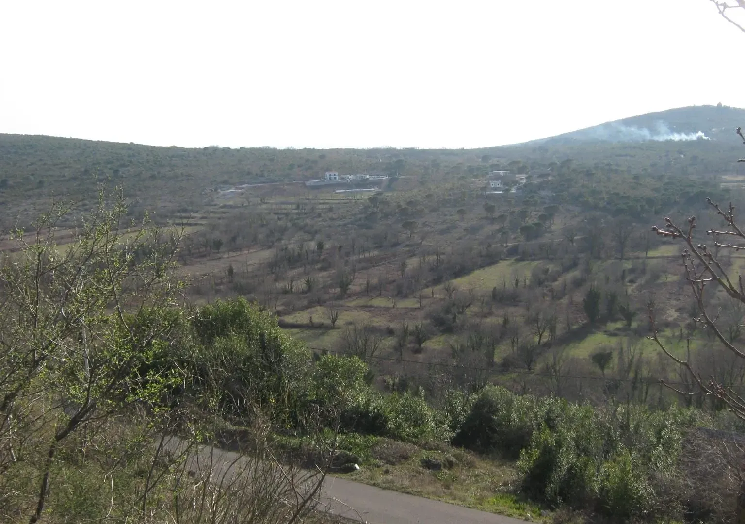 Prodaja, plac, 8500m², Glavati, Kotor