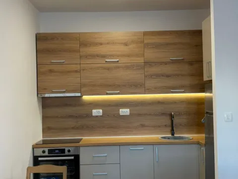 Izdavanje, jednosoban stan, 46m², Zabjelo, Podgorica - image 10