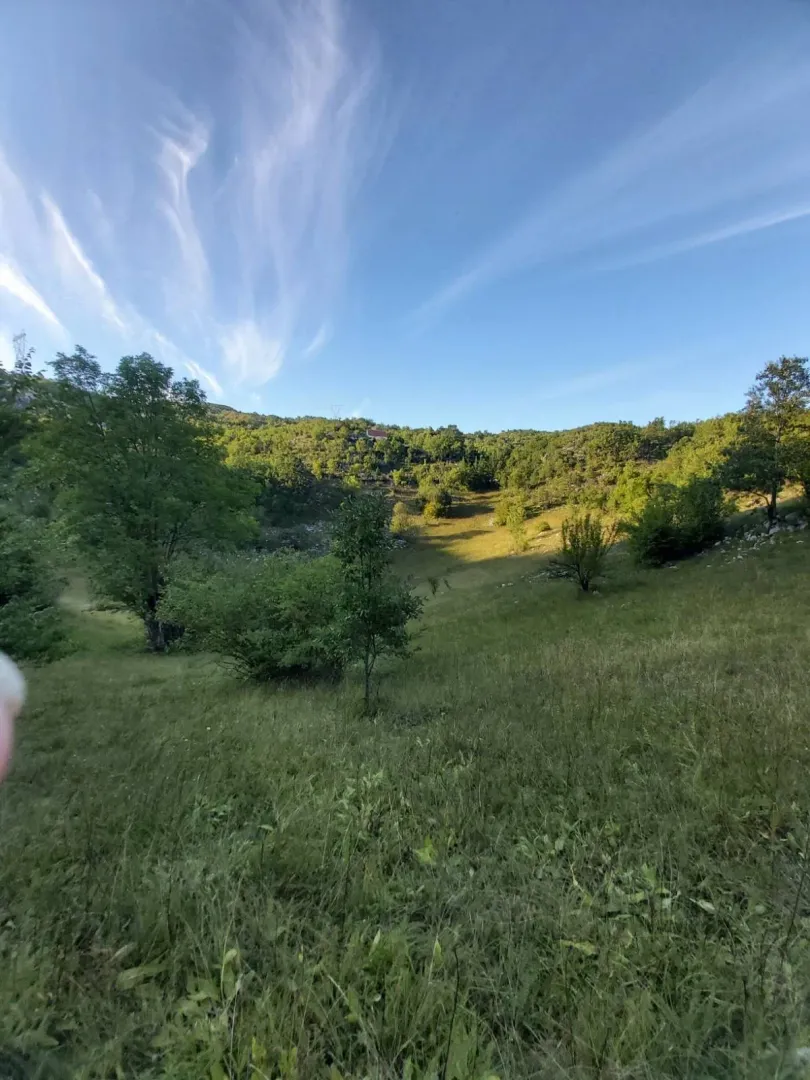 Pogled na zeleni travnjak i brdoviti pejzaž sa rastinjem.