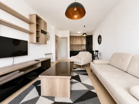 Prodaja, jednosoban stan, 47m², City Kvart, Podgorica - image 4