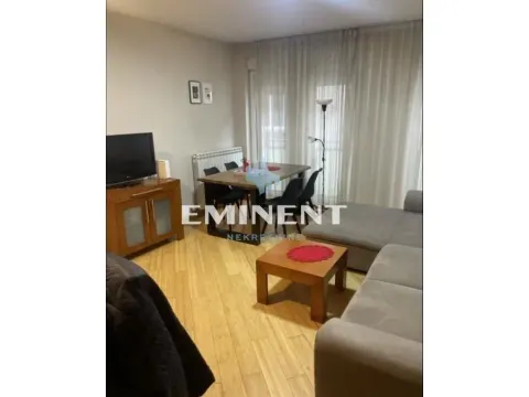 Izdavanje, dvosoban stan, 50m², Vračar Sve Podlokacije, Beograd - image 3