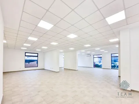 Izdavanje, poslovni prostor, 253m², Zabjelo, Podgorica - image 3