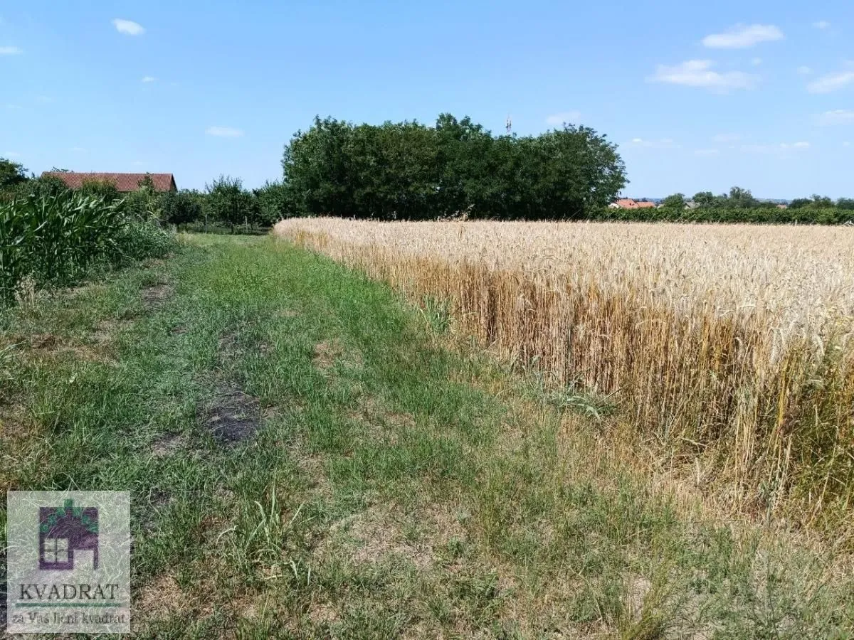 Sale, land lot, 7500m², Stubline, Obrenovac