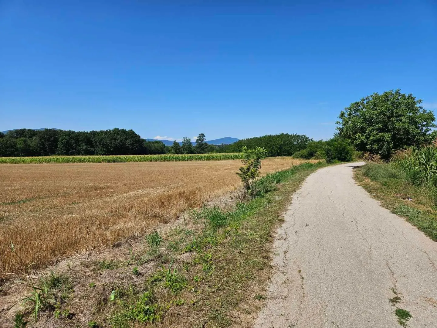 Prodaja, plac, 9300m², Krćevac, Topola