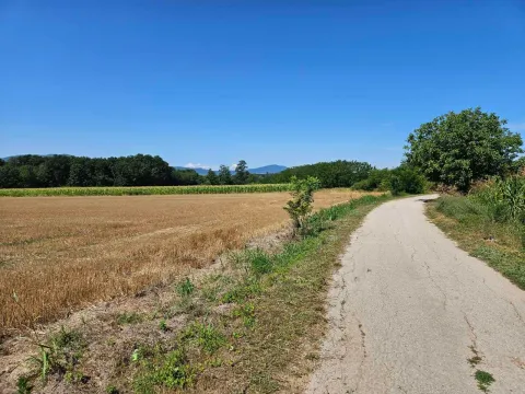 Prodaja, plac, 9300m², Krćevac, Topola - image 2