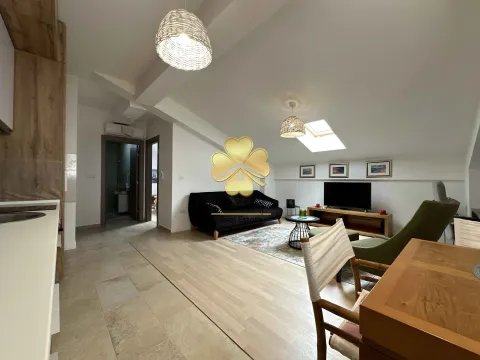 Izdavanje, jednosoban stan, 45m², Stari Aerodrom, Podgorica - image 9