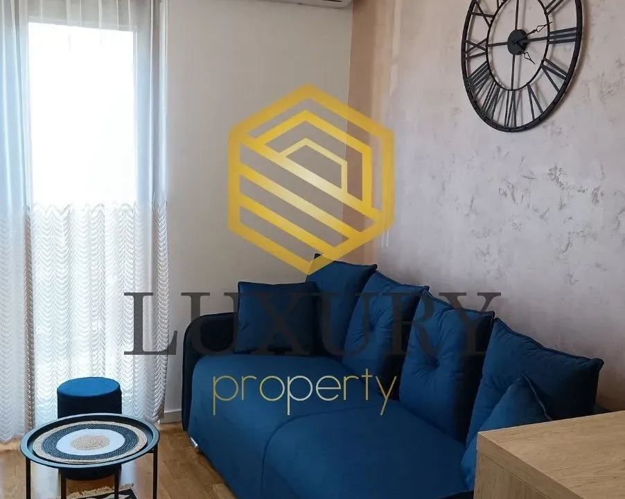 Izdavanje, garsonjera, 20m², Zabjelo, Podgorica