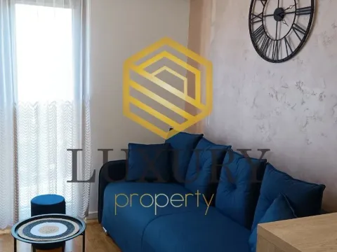 Izdavanje, garsonjera, 20m², Zabjelo, Podgorica - image 1