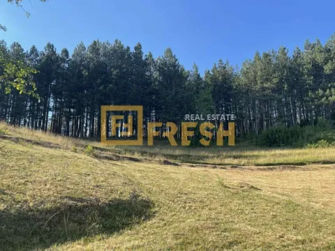 Prodaja, plac, 430m², Kolašin, Crna Gora - image 1