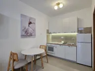 Izdavanje, garsonjera, 25m², Momišići, Podgorica - image 2