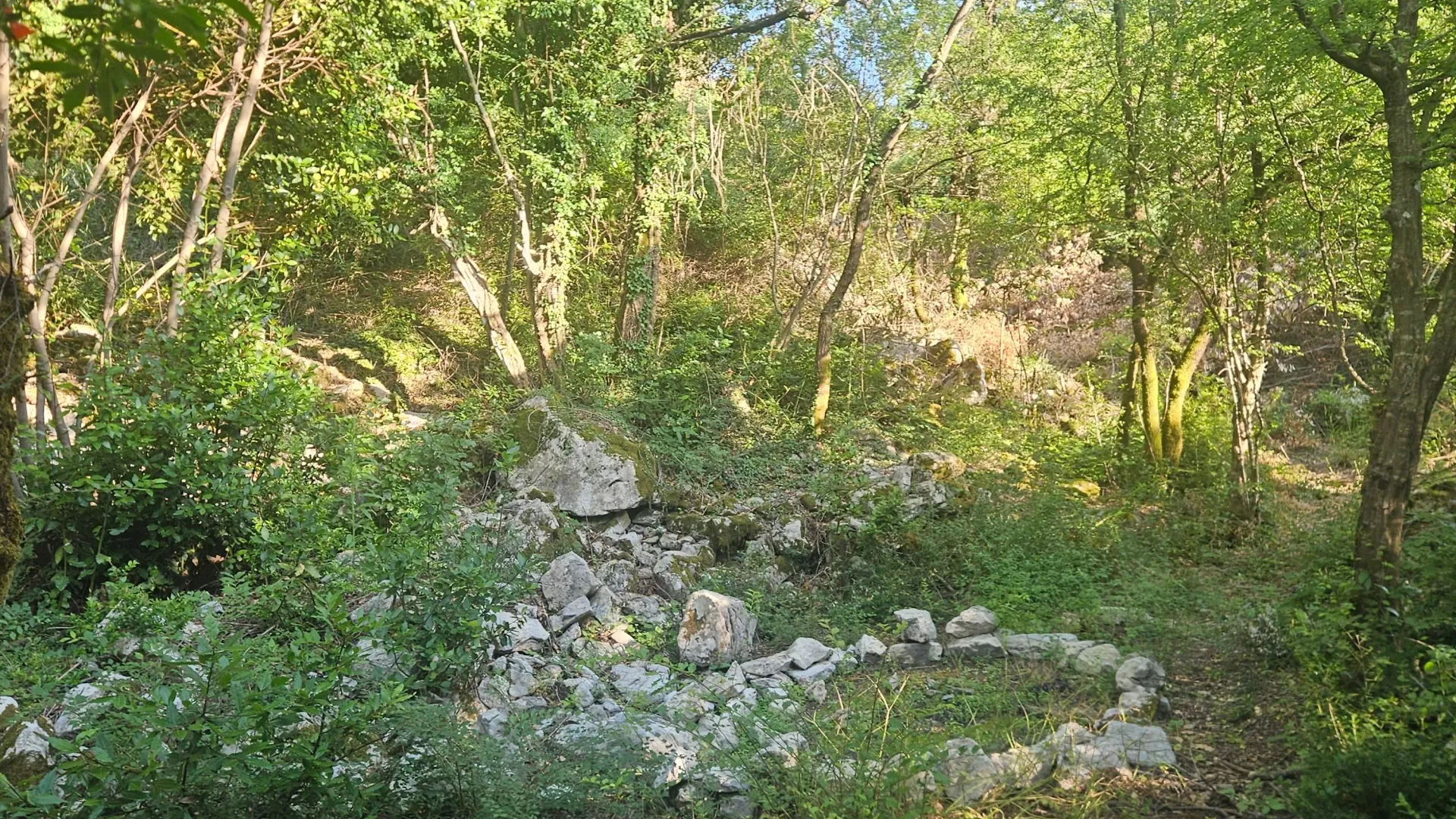 Prodaja, plac, 8000m², Mojdež, Herceg Novi