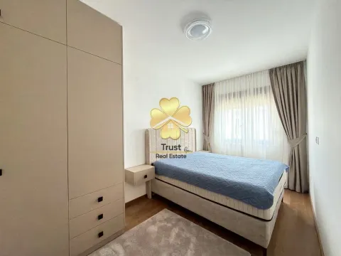 Izdavanje, dvosoban stan, 70m², Vezirov Most, Podgorica - image 11