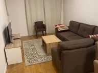 Izdavanje, jednosoban stan, 47m², Central Point, Podgorica - image 1