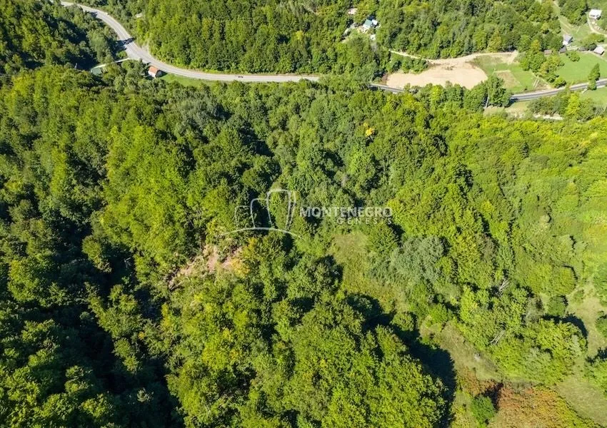Sale, land lot, 140000m², Crkvine, Kolašin