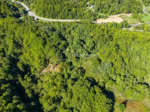 Prodaja, plac, 140000m², Crkvine, Kolašin - image 5