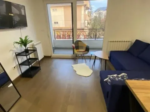 Rent, two bedroom apartment, 40m², Lekino Brdo, Voždovac Sve Podlokacije - image 4