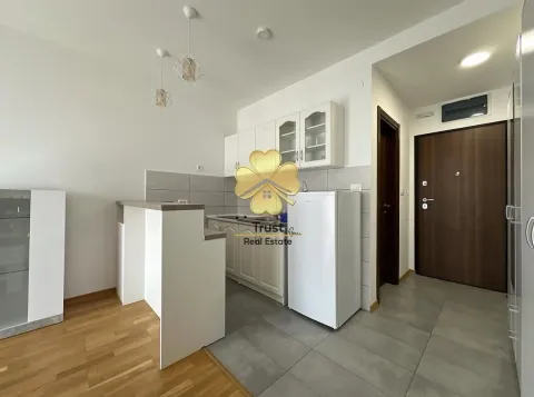 Izdavanje, garsonjera, 30m², Ljubović, Podgorica - image 5