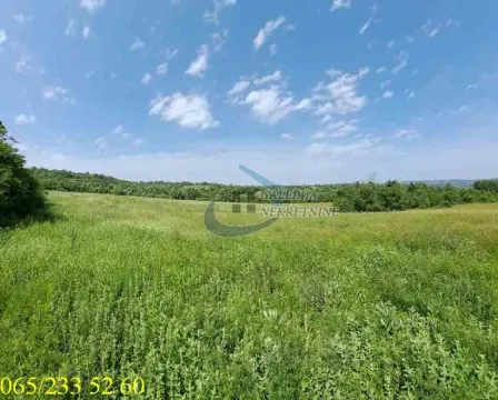 Pogled na zeleni travnjak i okolnu prirodu. - image 22