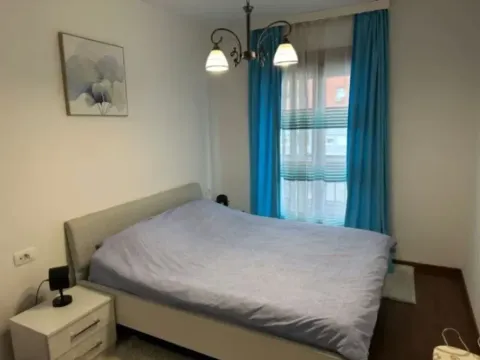 Izdavanje, jednosoban stan, 50m², Master Kvart, Podgorica - image 6