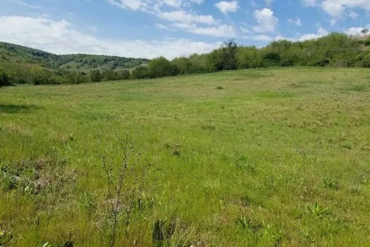 Prodaja, plac, 1500m², Beočin, Srbija