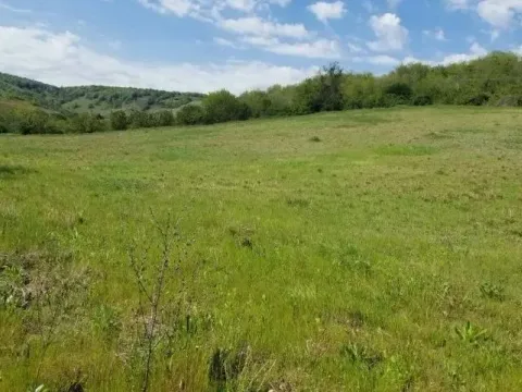 Prodaja, plac, 1500m², Beočin, Srbija - image 4